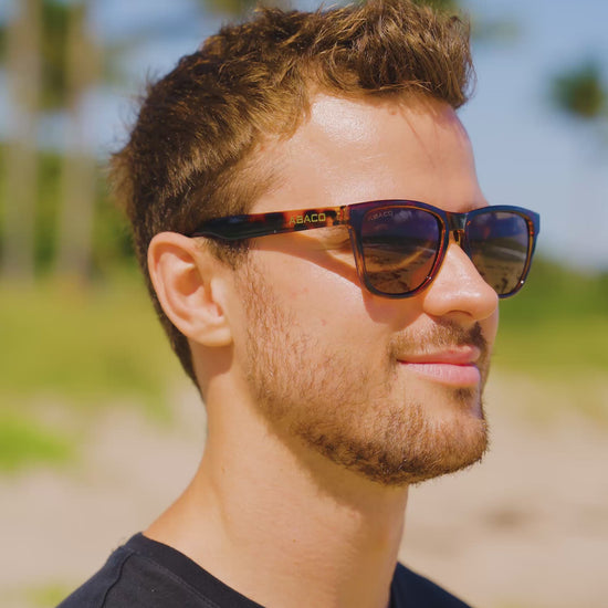 model_a_kai_tortoise_brown_3